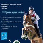 Stage Alexis Goury