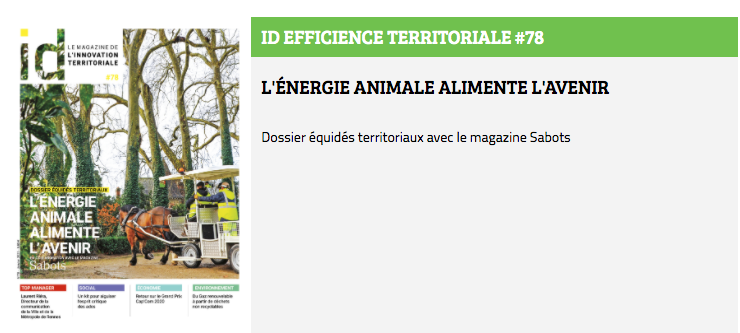 ID Territoriale 78 - LE CHEVAL, UN AGENT POLYVALENT ET MULTISERVICE