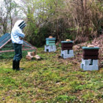 Haras National Hennebont Agir pour préserver la biodiversité