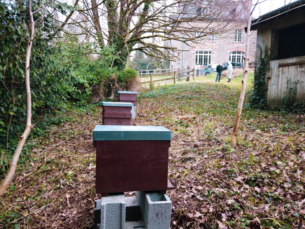 Haras National Hennebont Agir pour préserver la biodiversité