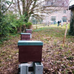 Haras National Hennebont Agir pour préserver la biodiversité